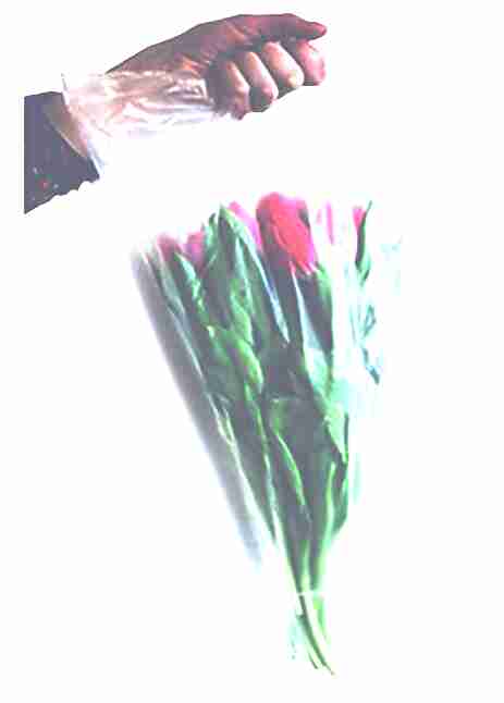 SAC CONES FLEURS BD TRANSPARENT/1000
