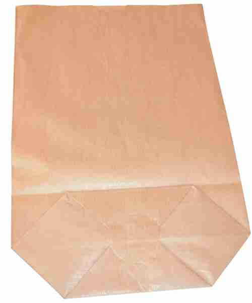 SAC ECORNE KRAFT BRUN 12.5X28.5 /500 N°6