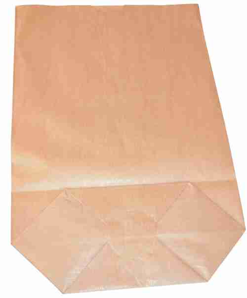 SAC ECORNE KRAFT BRUN 23X35.5 /500 N°11