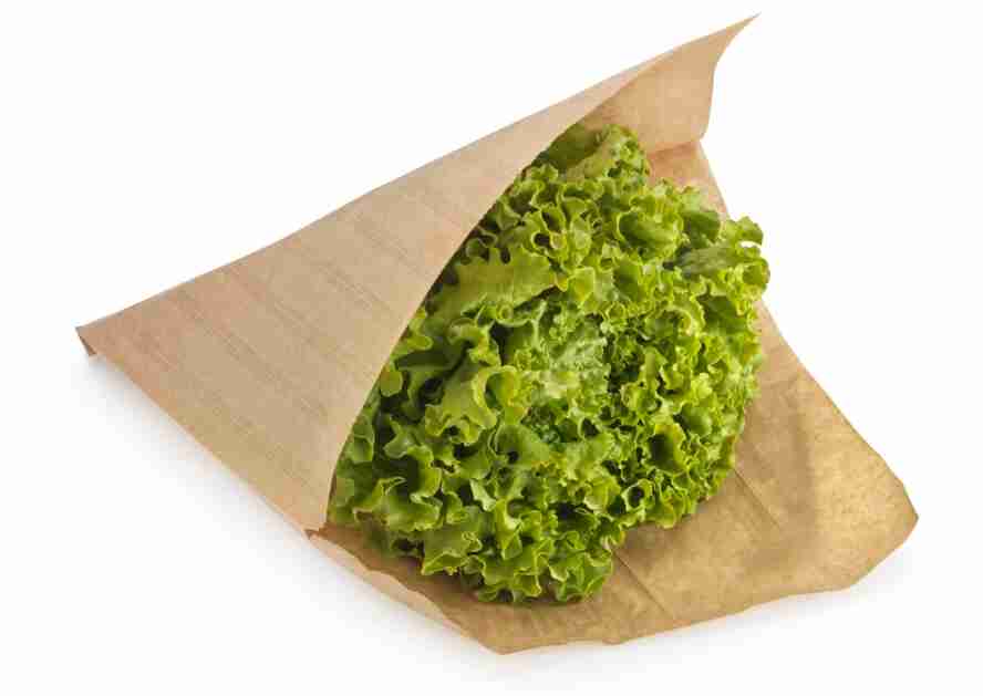 SACHETS SALADE KRAFT BRUN 30X31 /500 REF868610